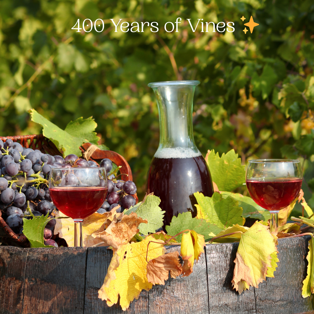 Fun Fact Friday 🍷✨ – The Oldest Known Vineyard